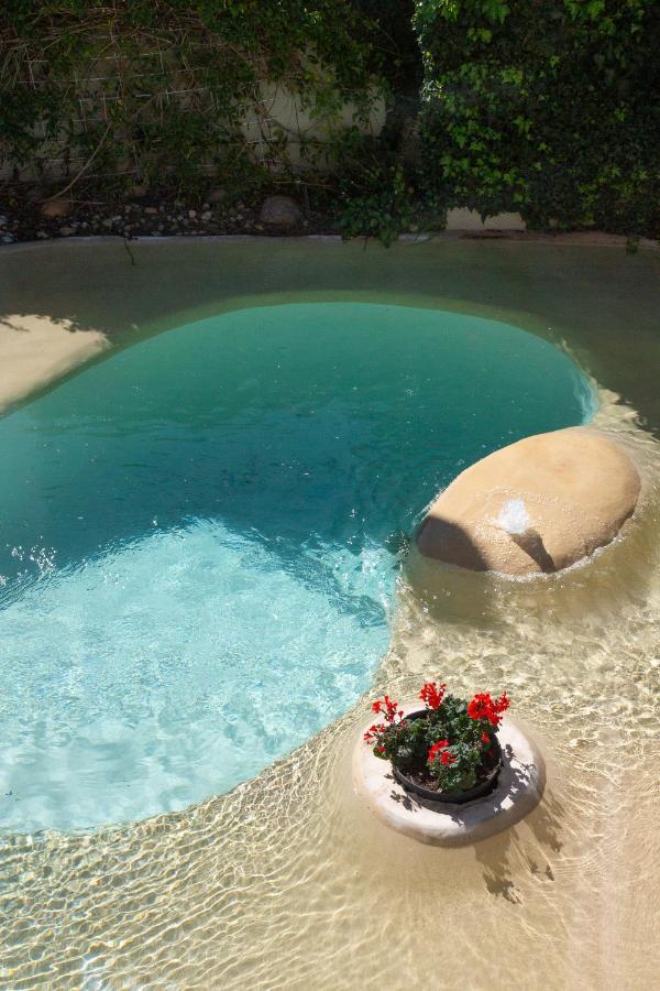 Sunflower Villa In Franschhoek Dış mekan fotoğraf